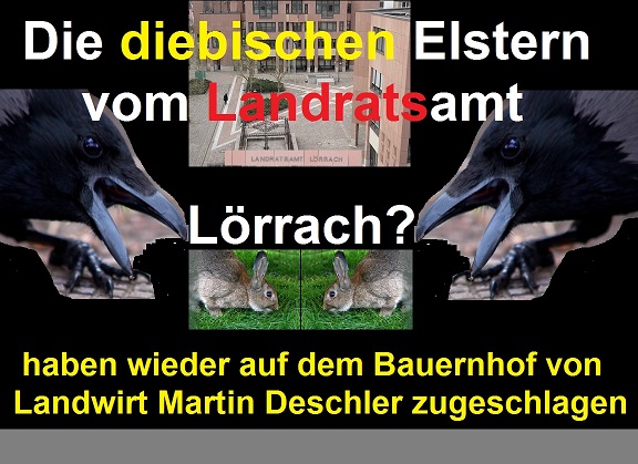 Die diebischen Elstern vom Landratsamt Lrrach sm